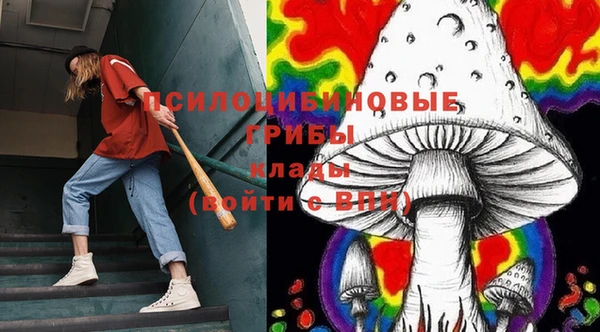 гашик Краснотурьинск