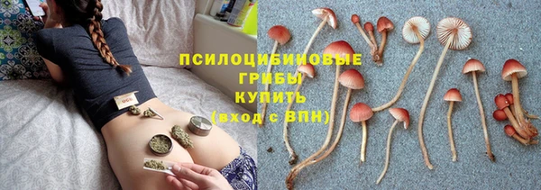 гашик Краснотурьинск
