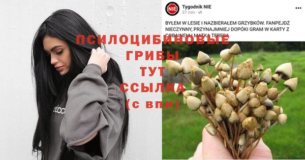 гидропоника Красноперекопск