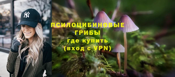 ешки Краснослободск