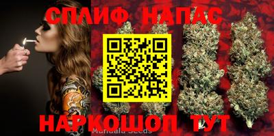 индика Канаш