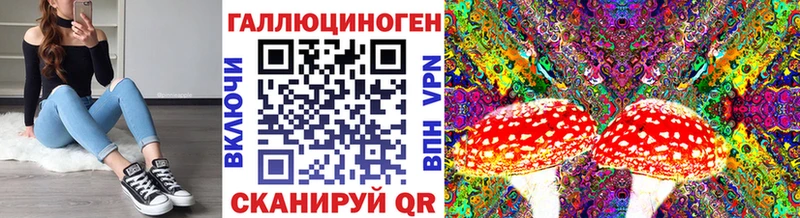 Галлюциногенные грибы MAGIC MUSHROOMS  купить наркотики цена  Петрозаводск 