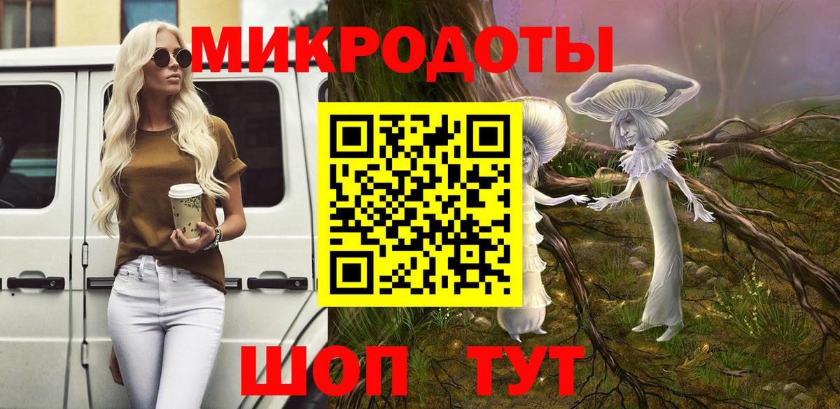 наркотики  Псилоцибиновые грибы мухоморы  Петрозаводск  Вход с VPN  Псилоцибиновые грибы Psilocybe 